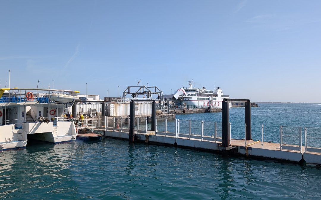 Guía Esencial para Visitar la Isla de Lobos: Permisos, Transporte y Recomendaciones