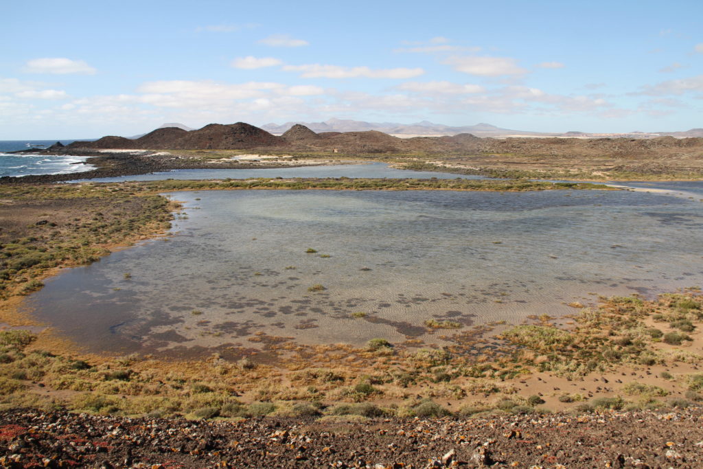 Las Lagunitas Isla de Lobos