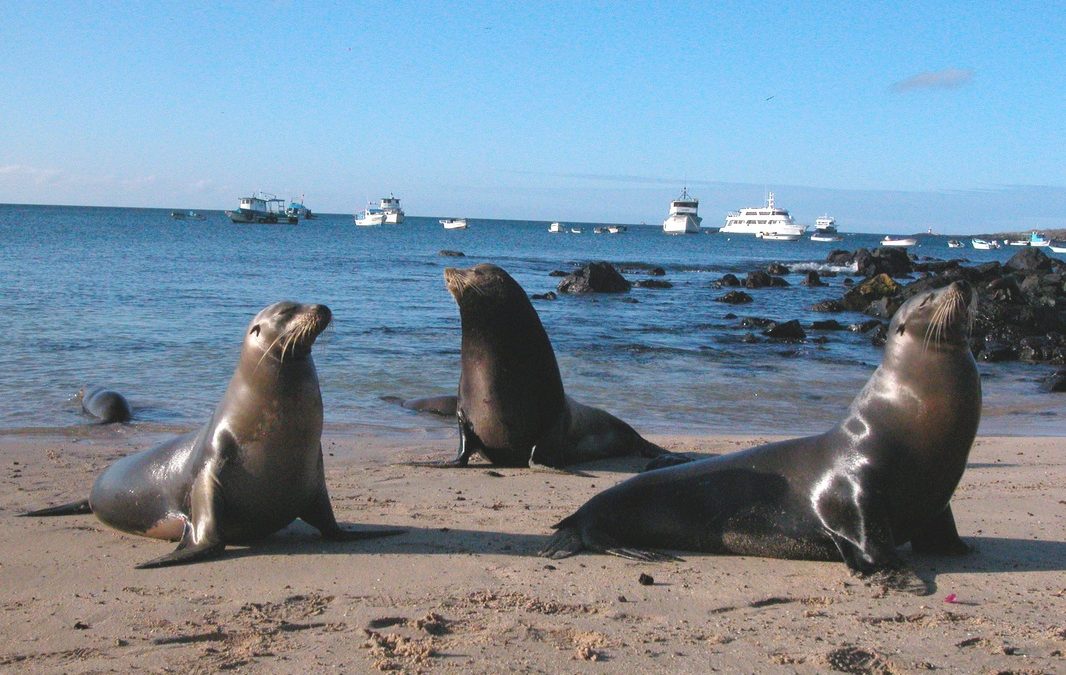Leyendas y curiosidades de la Isla de Lobos