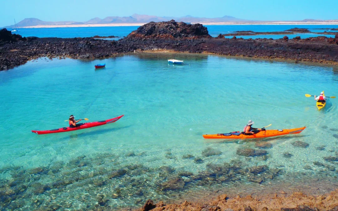 Mejor hora para visitar la Isla de Lobos