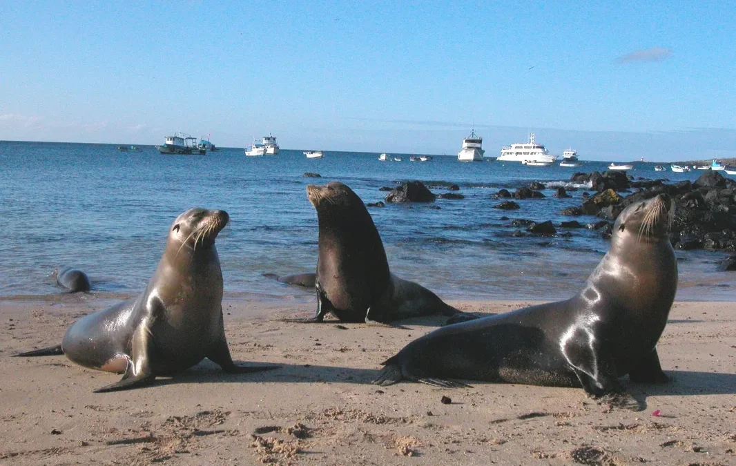 Leyendas y curiosidades de la Isla de Lobos