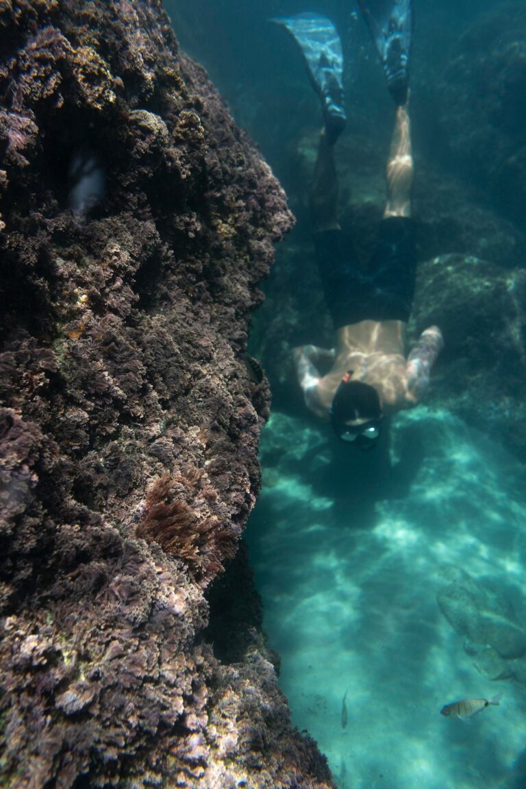 Persona haciendo snorkel junto a una pared de roca volc&aacute;nica en aguas turquesas